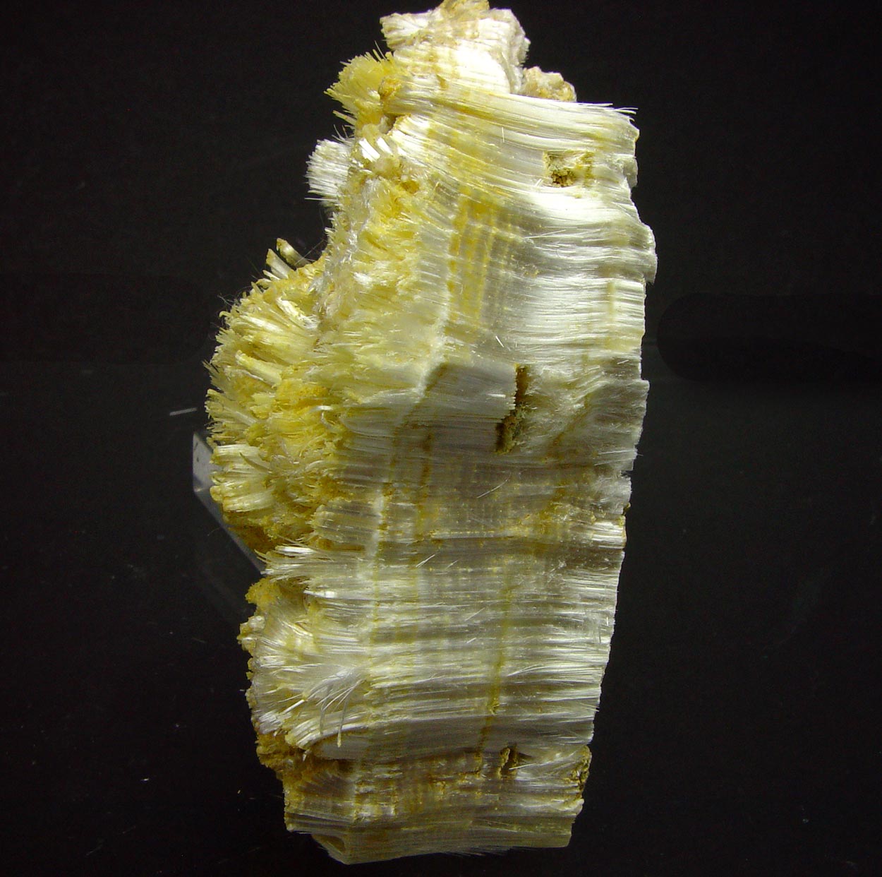 Halotrichite