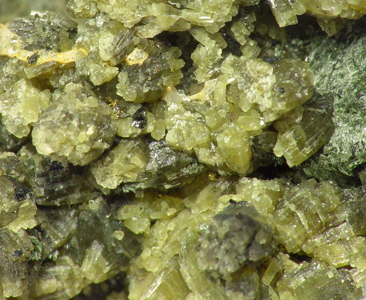 Pyrosmalite-(Fe)