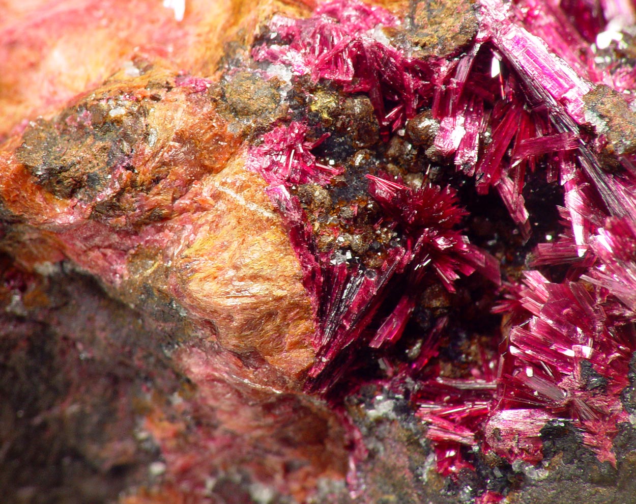 Erythrite & Cobaltlotharmeyerite