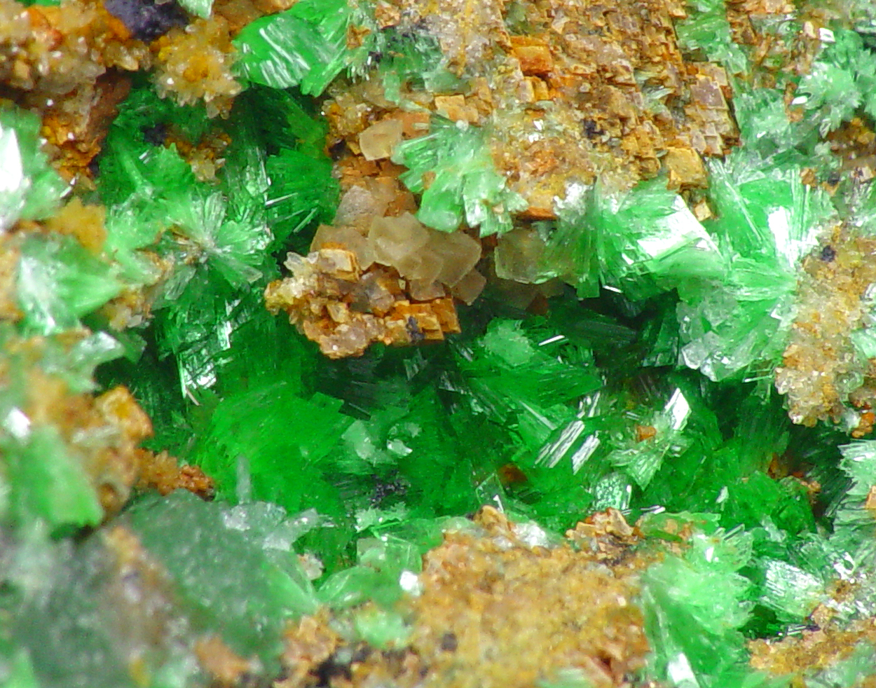 Annabergite