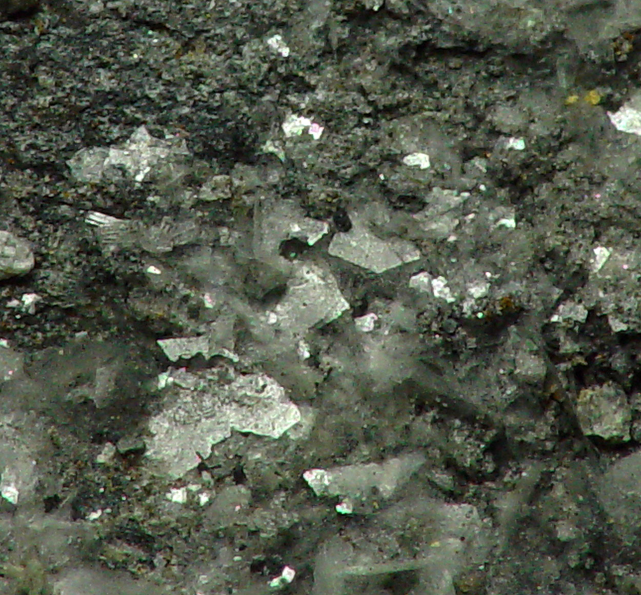 Brandholzite