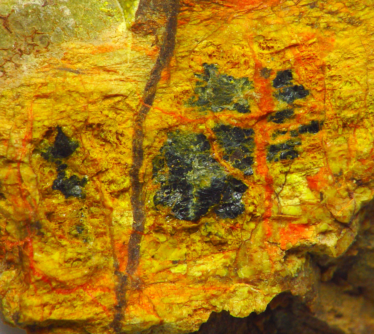 Fourmarierite