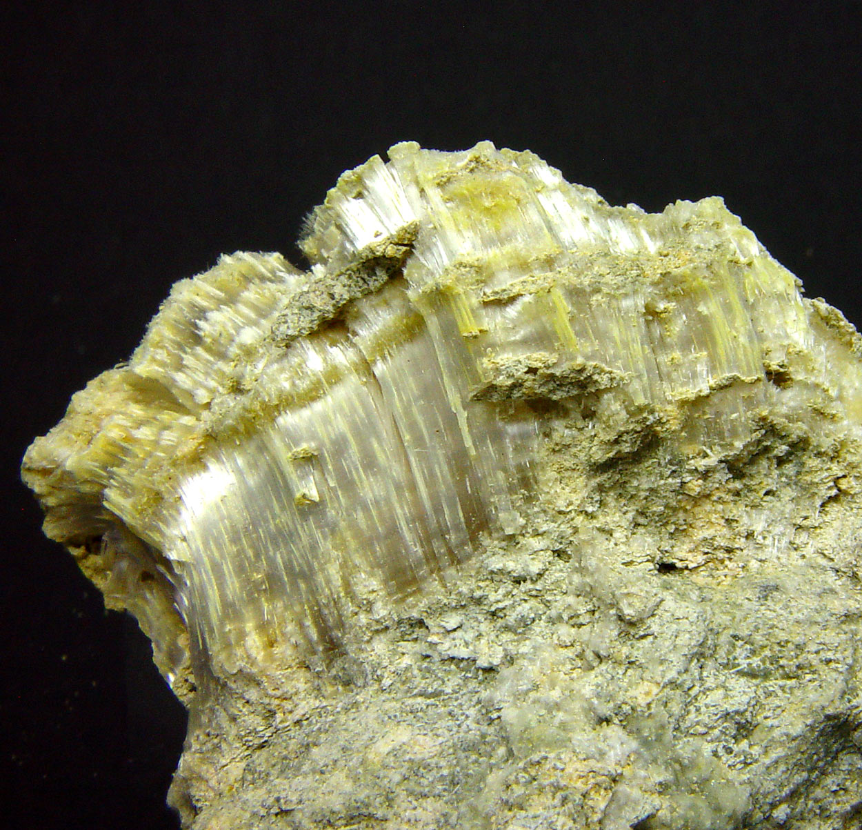 Halotrichite