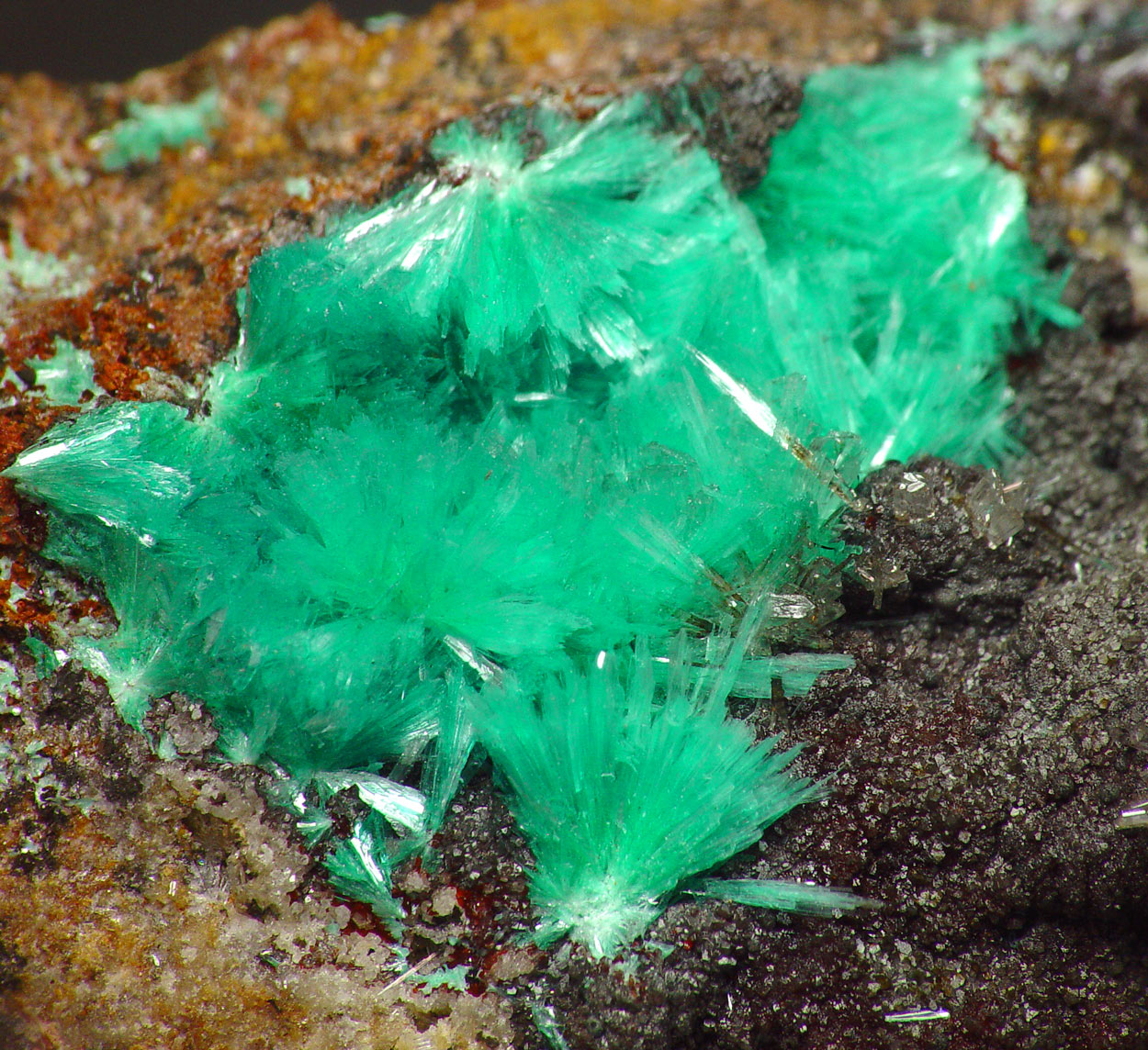 Aurichalcite