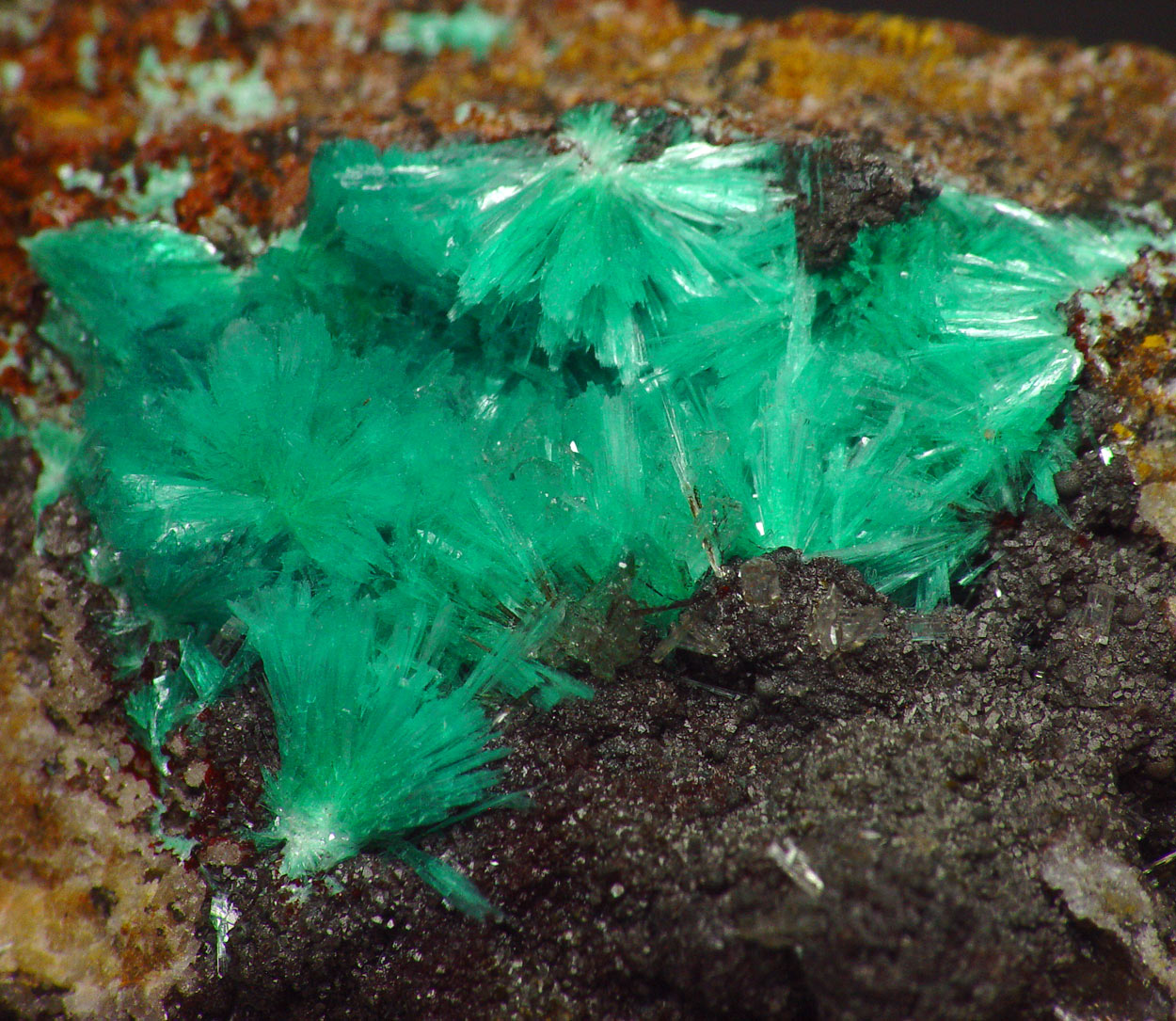 Aurichalcite