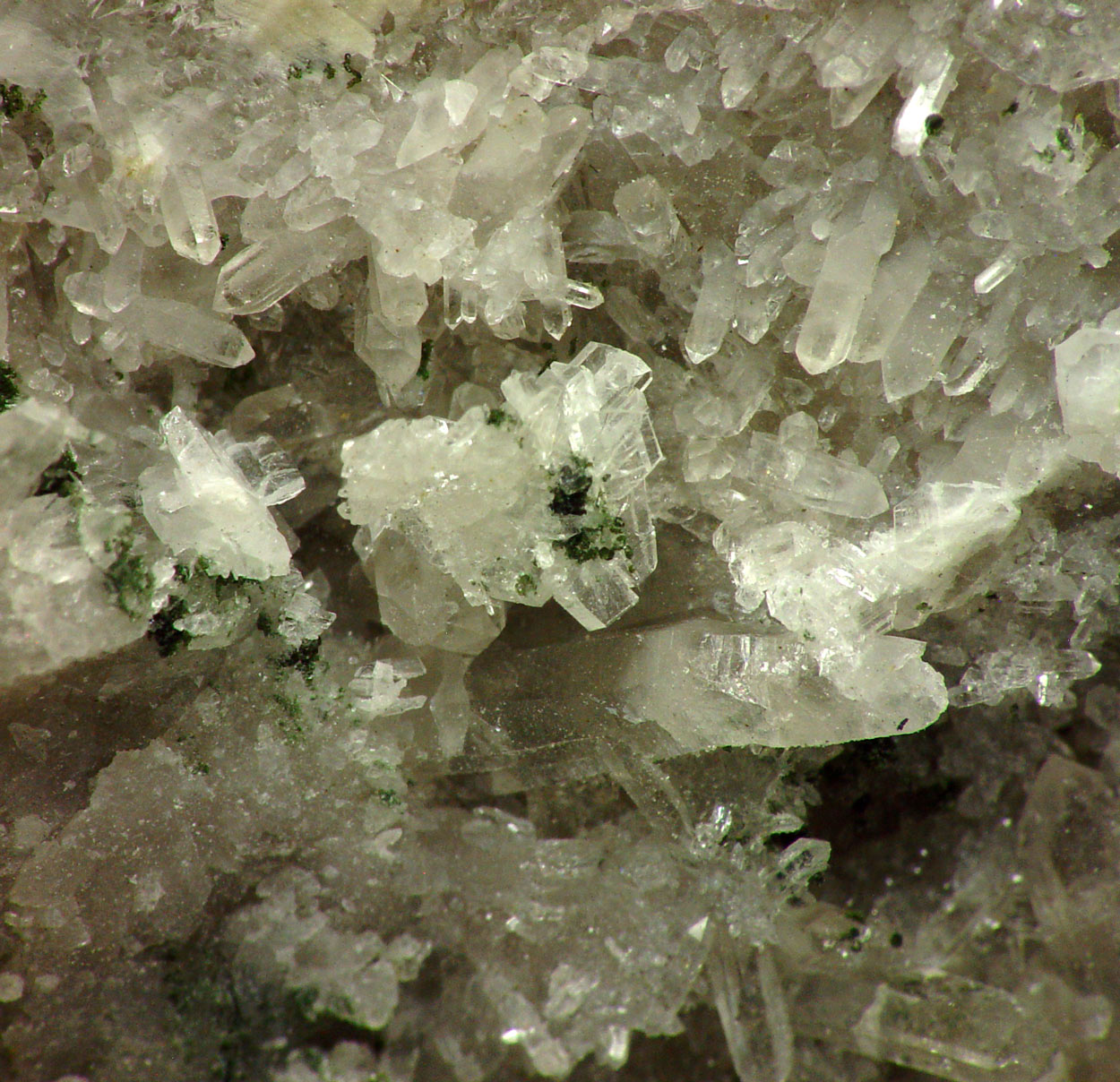 Bertrandite