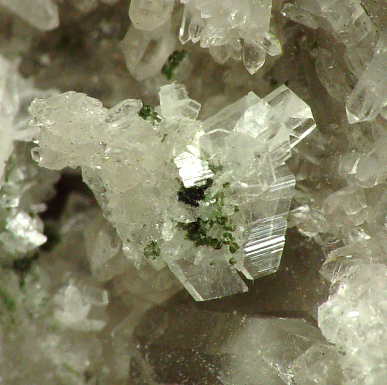 Bertrandite