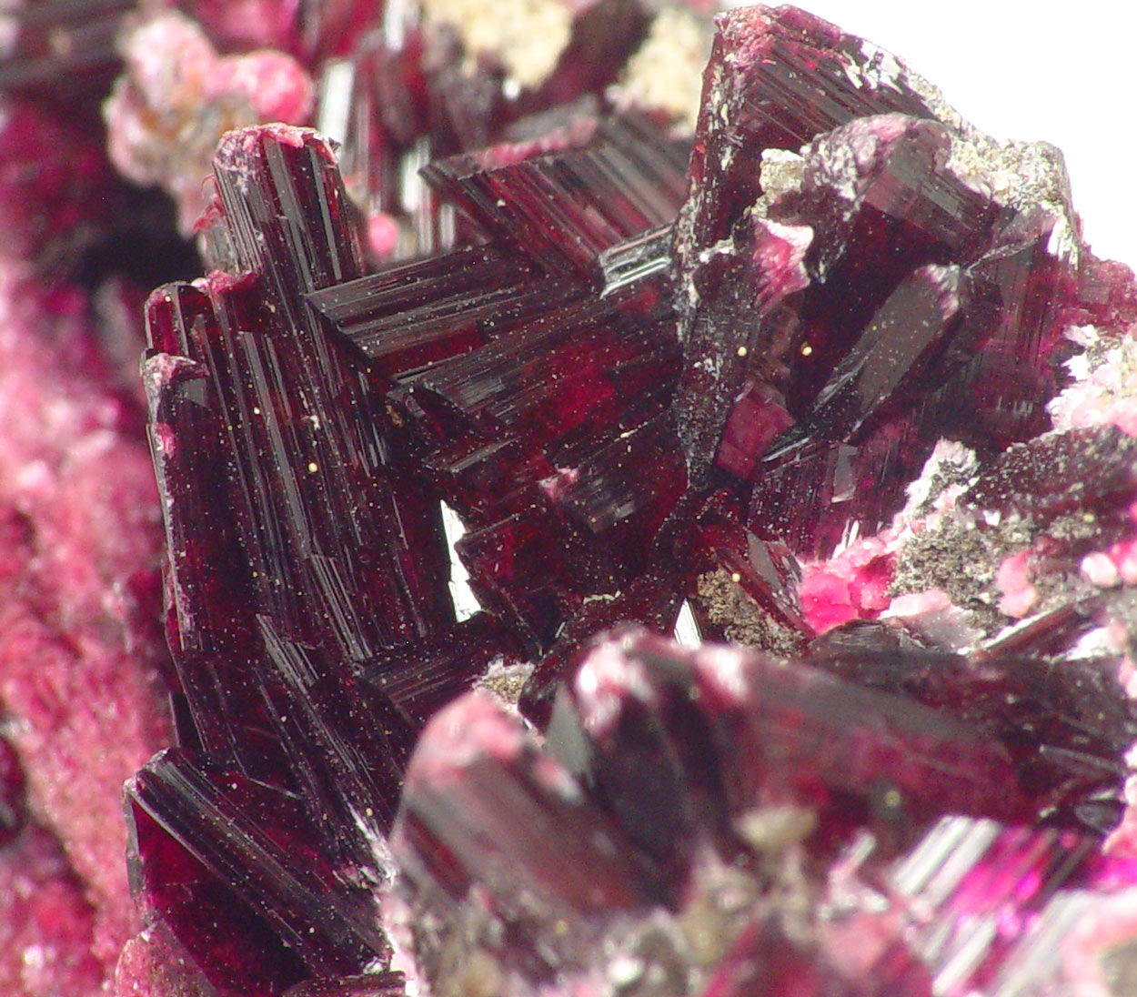 Erythrite