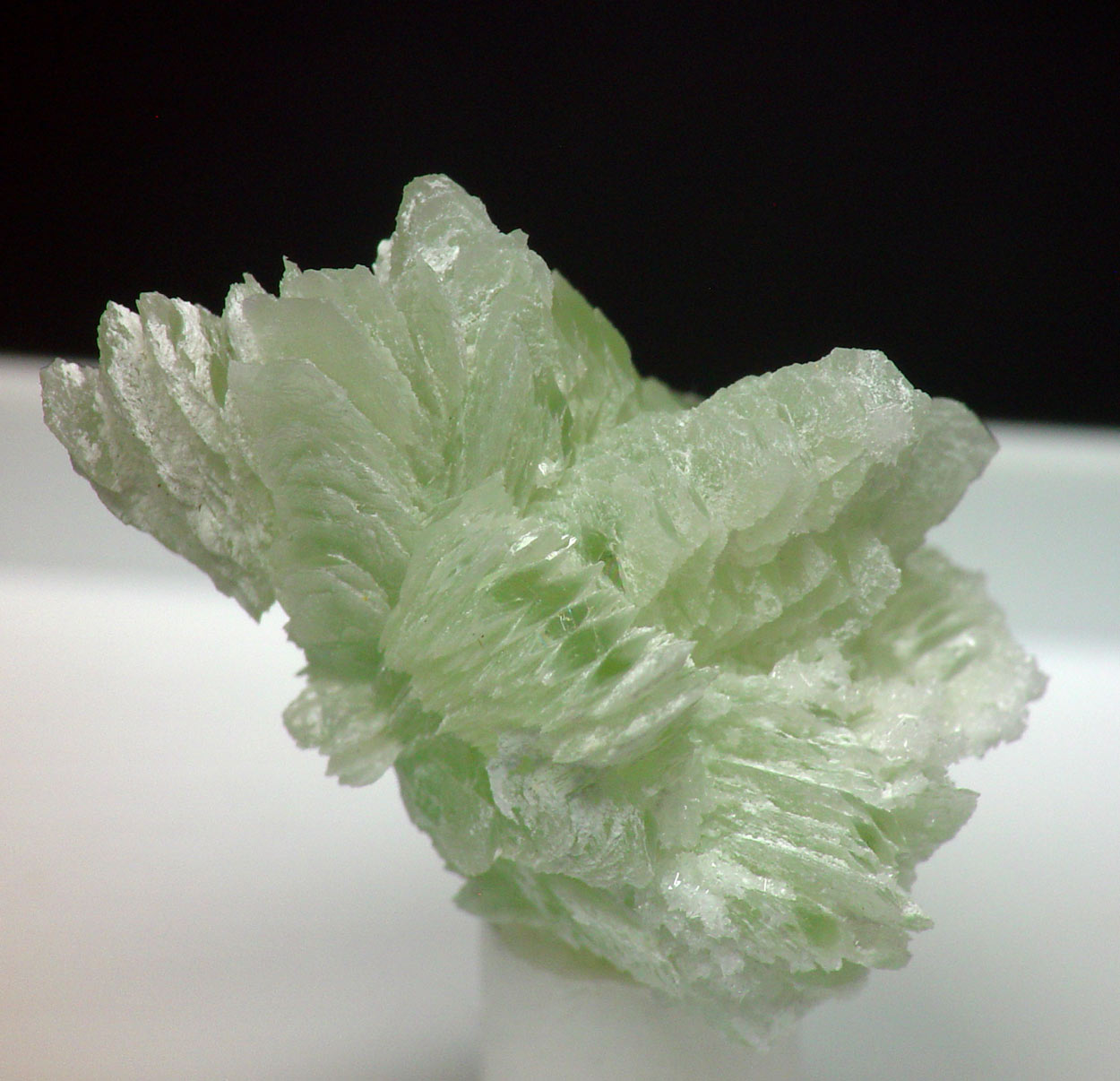 Tarbuttite