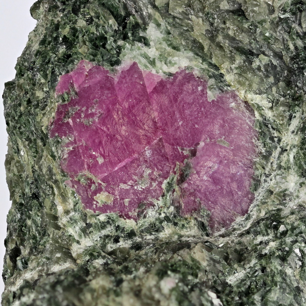 Ruby In Actinolite