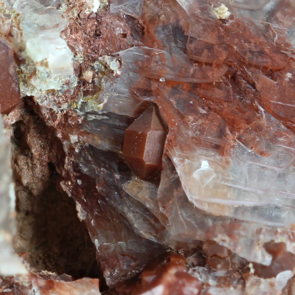 Jacinto de Compostela Quartz