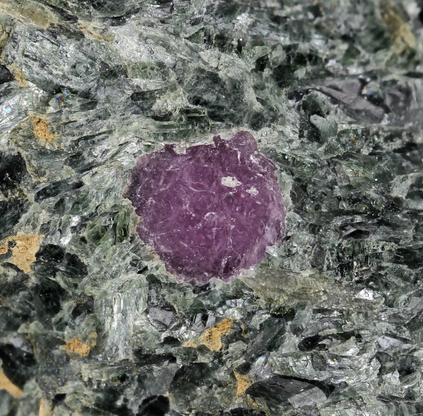 Ruby In Actinolite