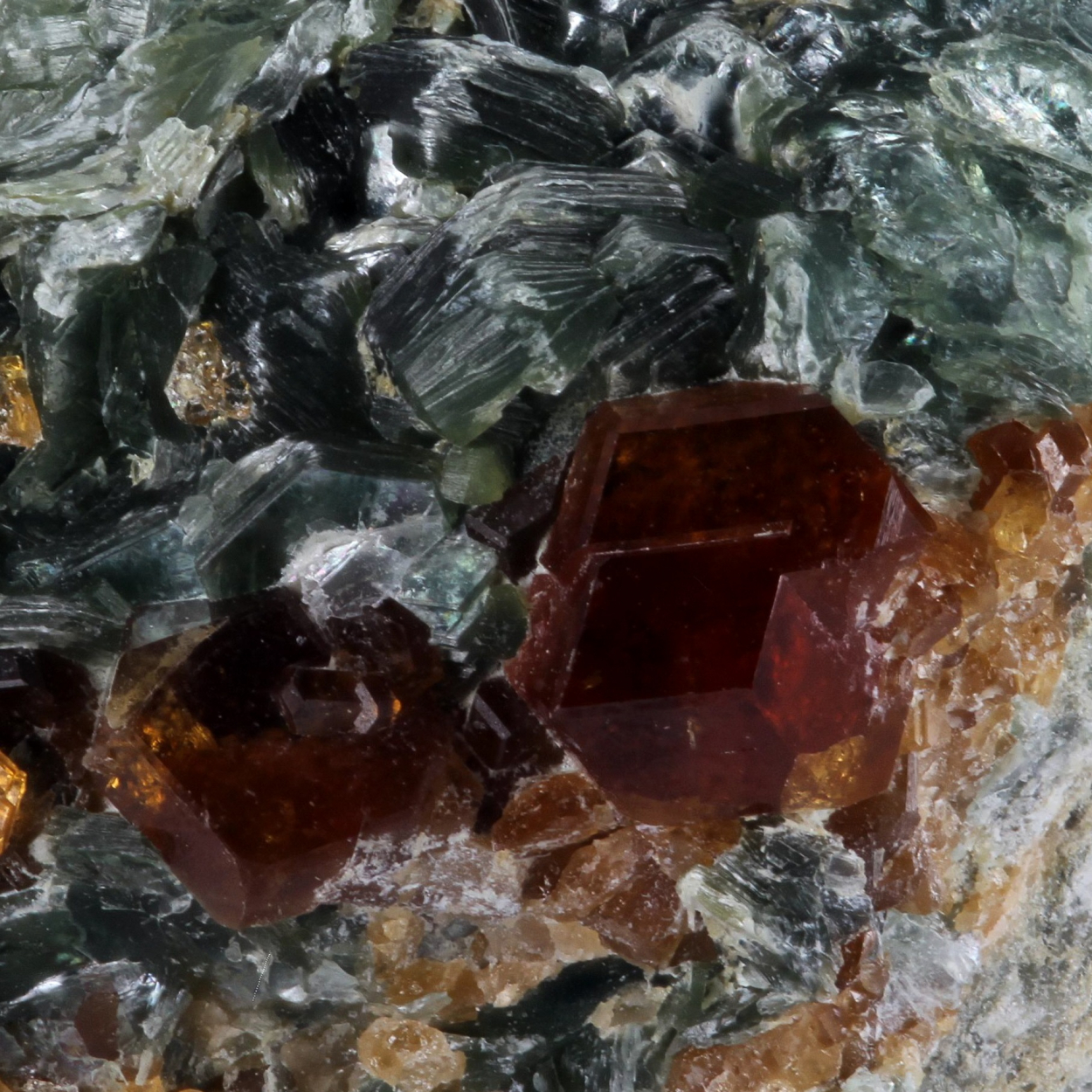 Hessonite With Clinochlore