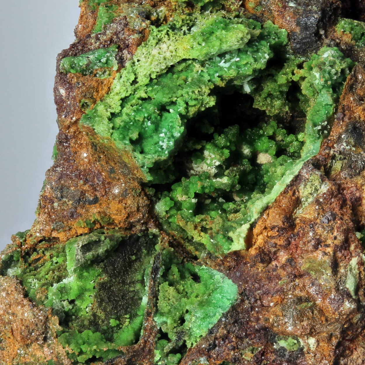 Conichalcite