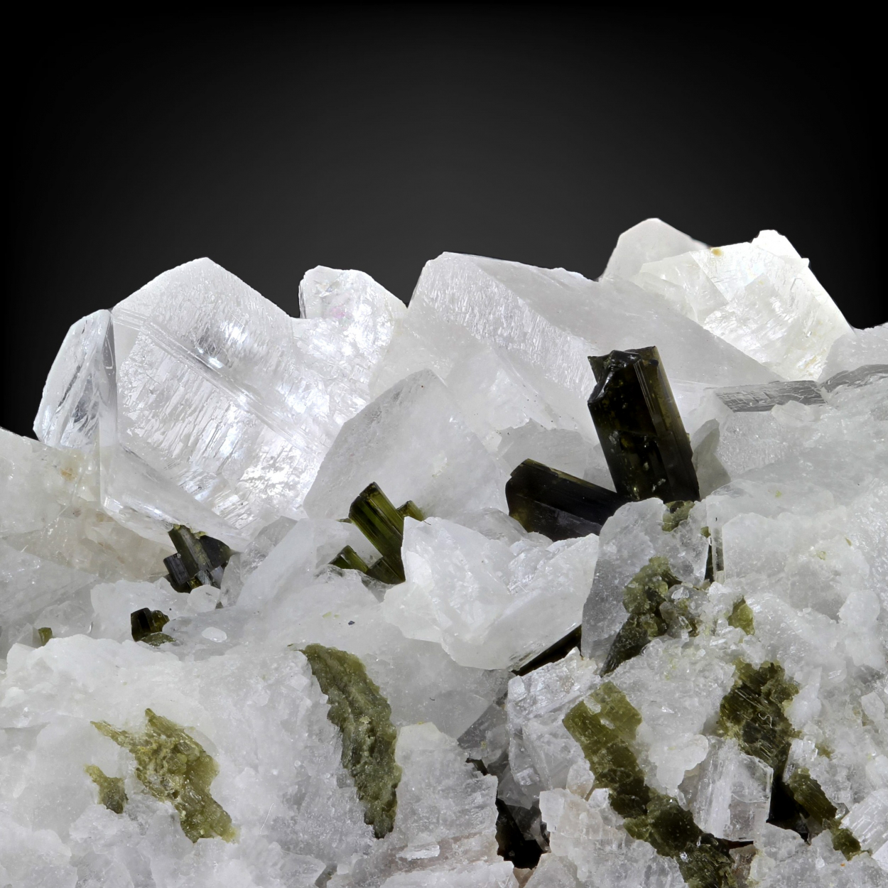 Albite With Epidote