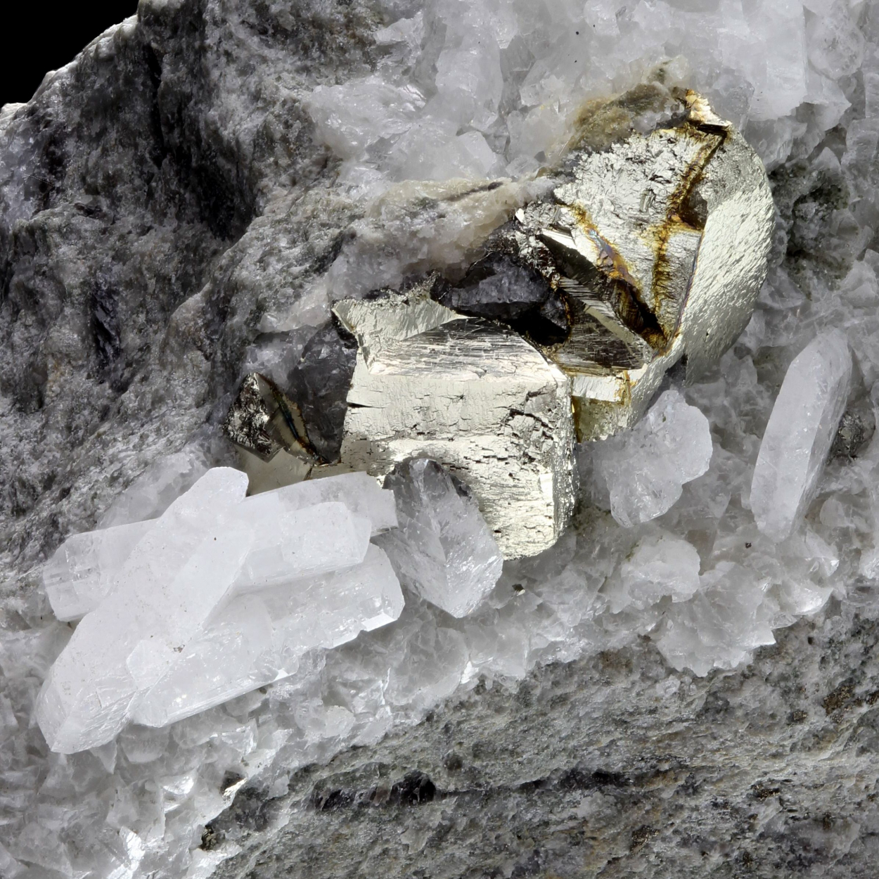 Pyrite On Albite