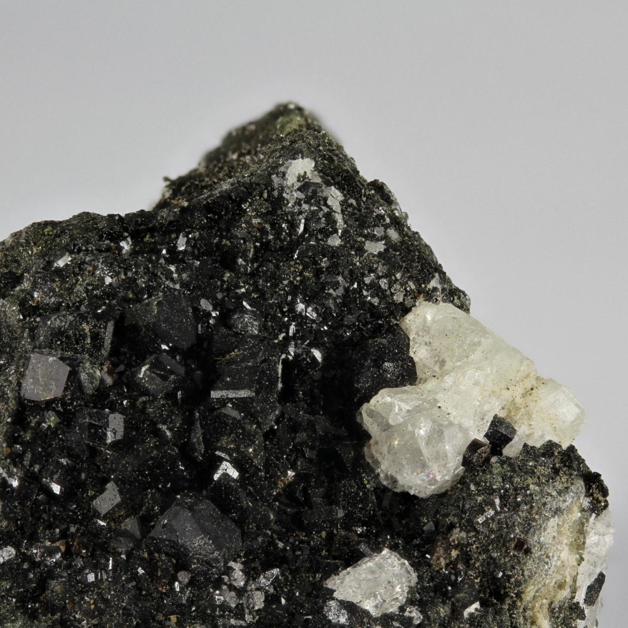 Augite