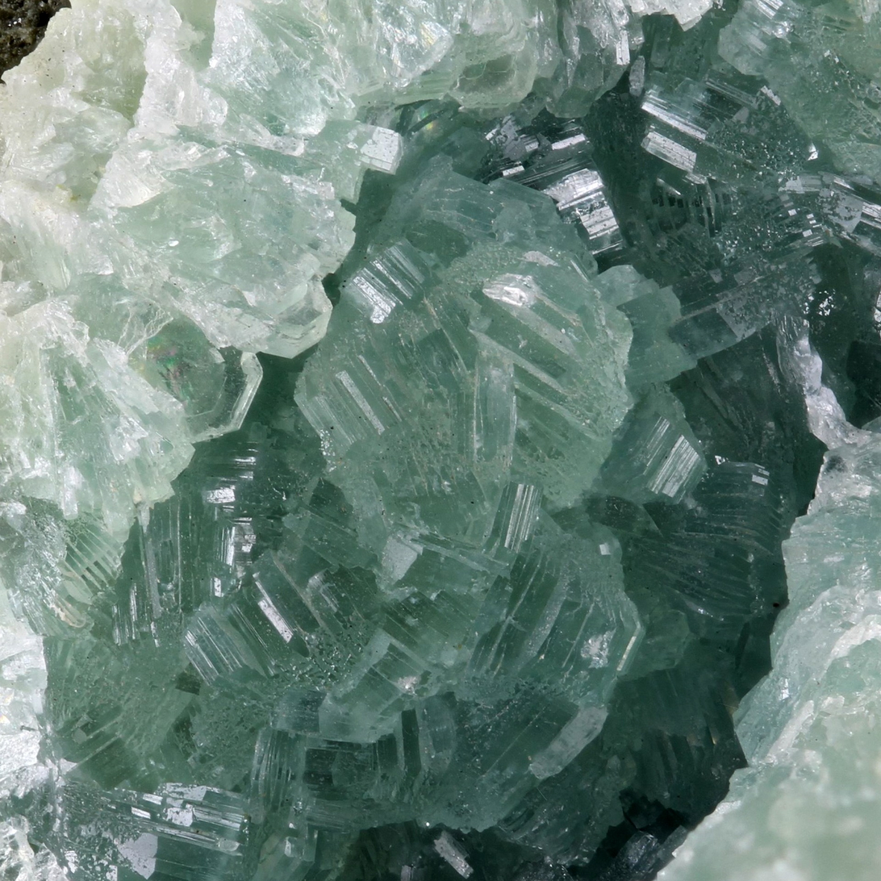 Prehnite