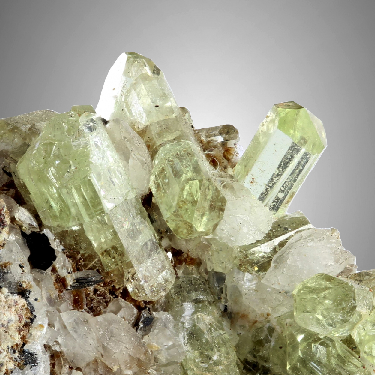 Apatite With Calcite