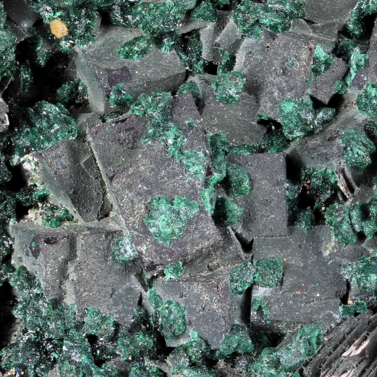 Fluorite With Malachite & Baryte