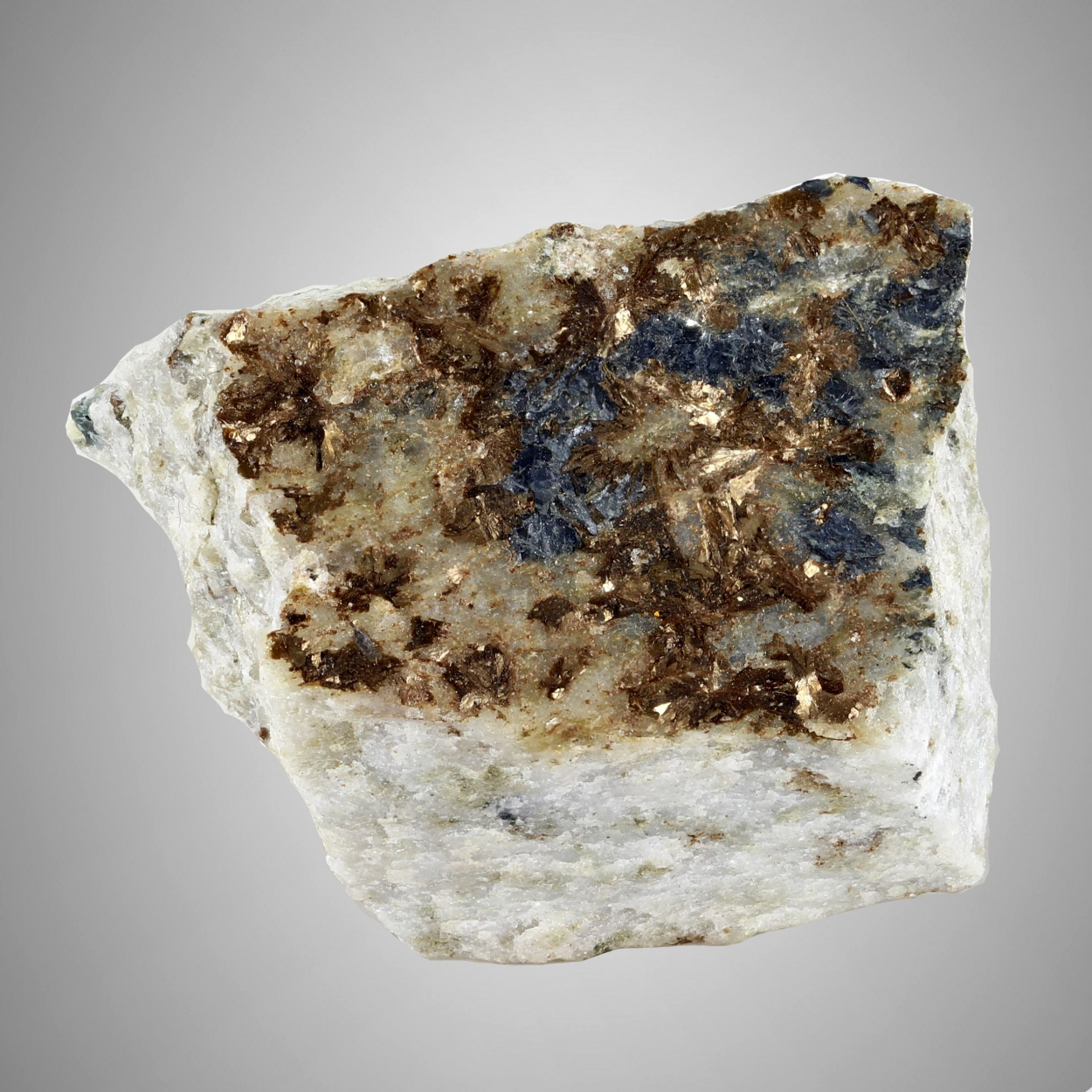 Metaswitzerite With Vivianite