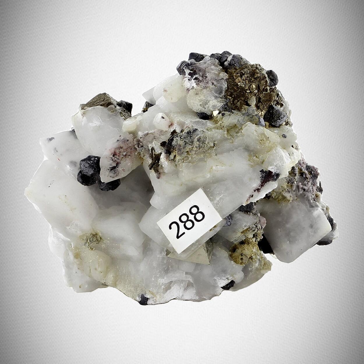 Galena With Pyrite