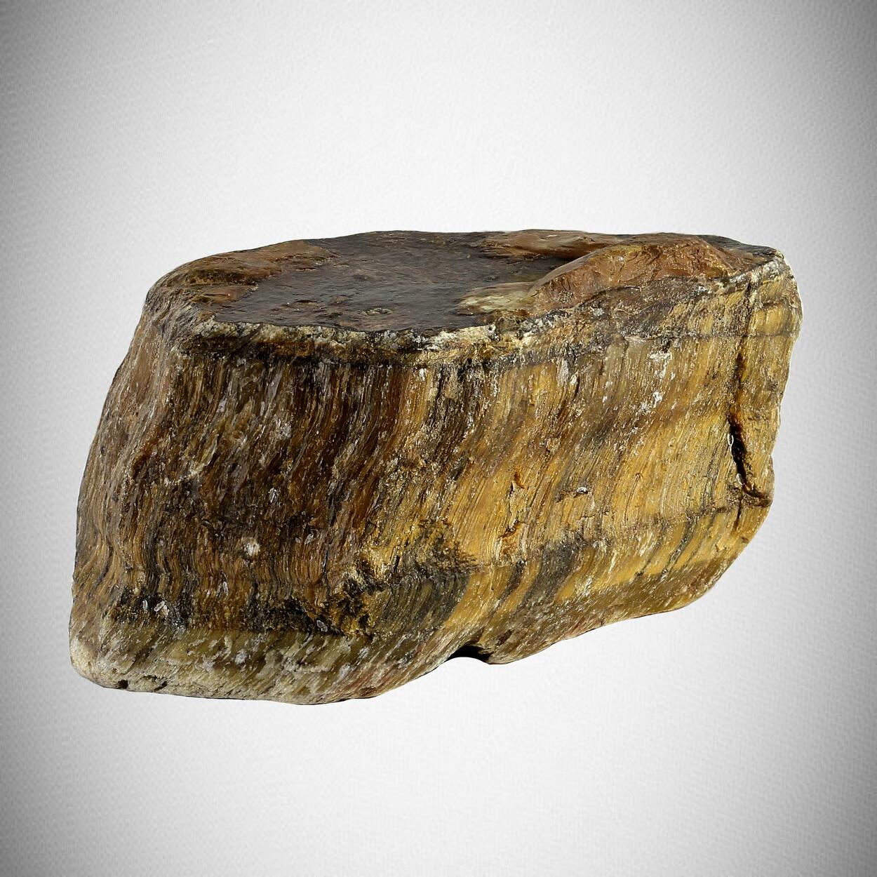 Crocidolite Var Tiger's Eye