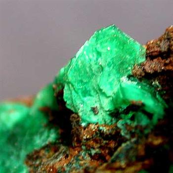 Chalcophyllite