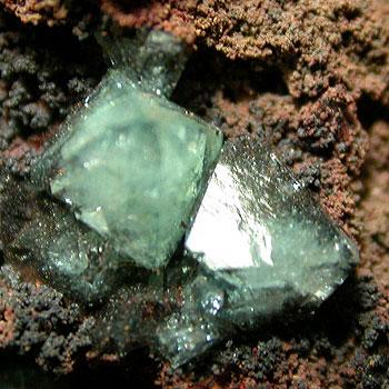 Cuprian Adamite