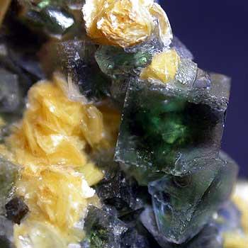 Fluorite With Gilbertite