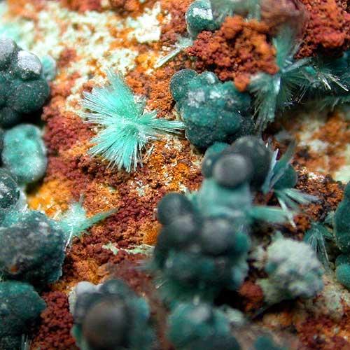 Aurichalcite & Rosasite