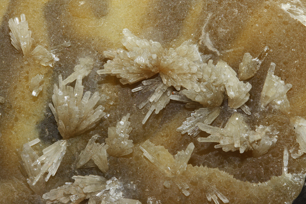 Baryte On Calcite