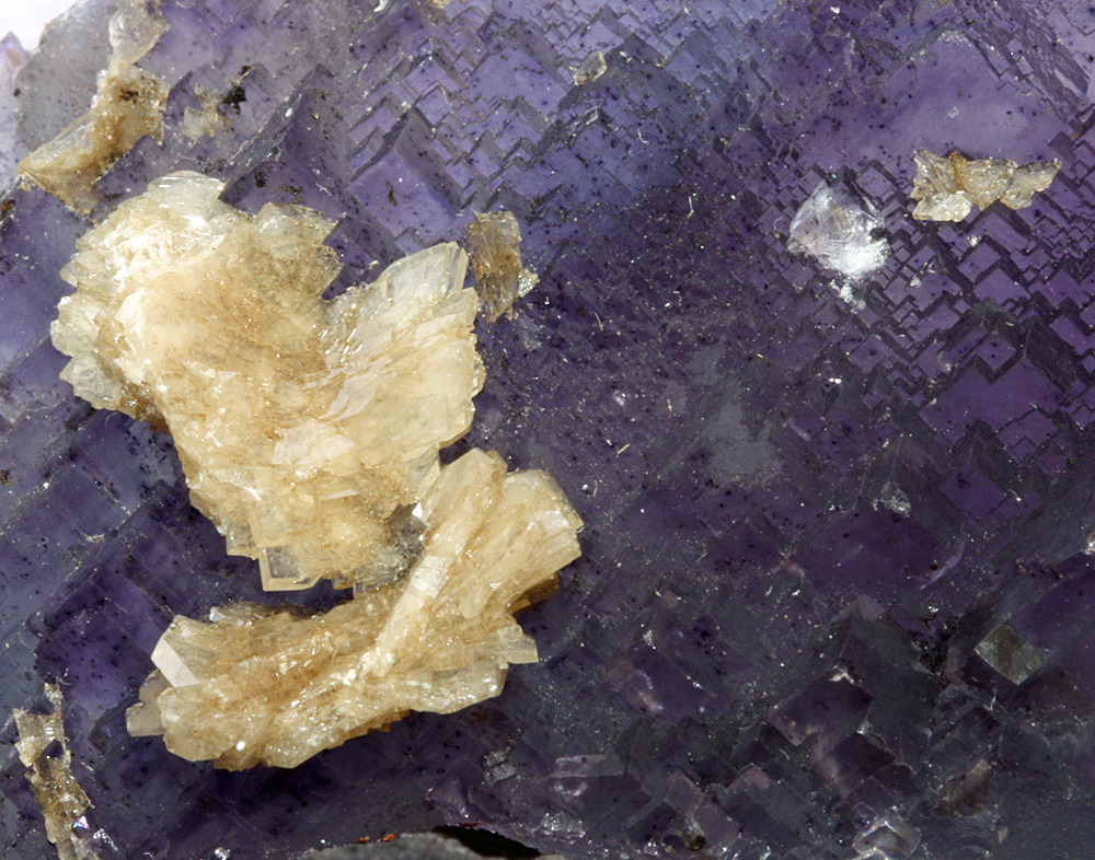 Baryte On Fluorite