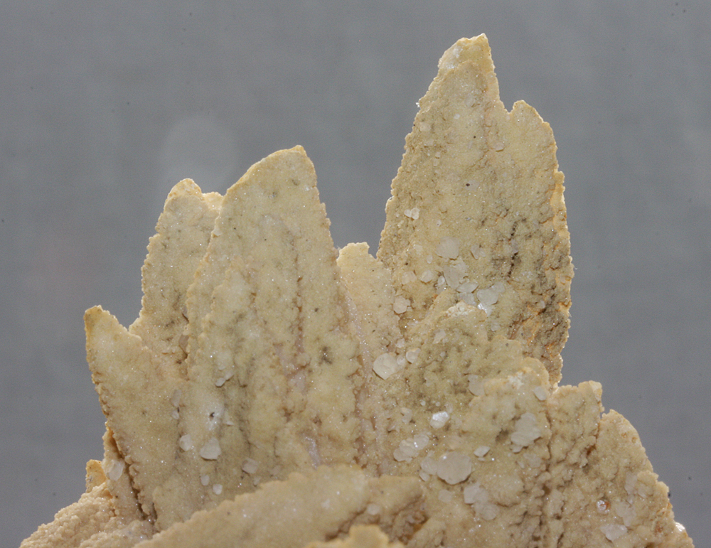 Calcite On Galena