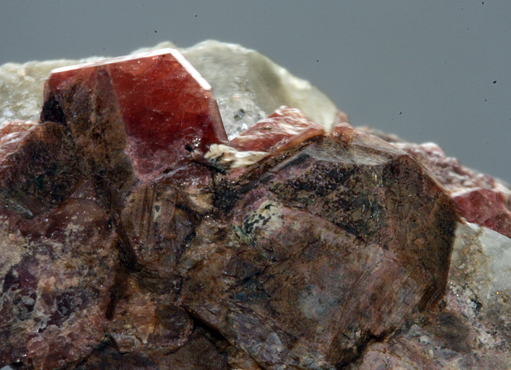 Eudialyte