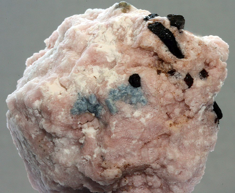 Leucosphenite Polylithionite & Neptunite