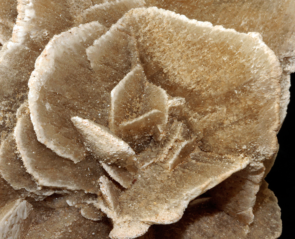 Gypsum Var Desert Rose