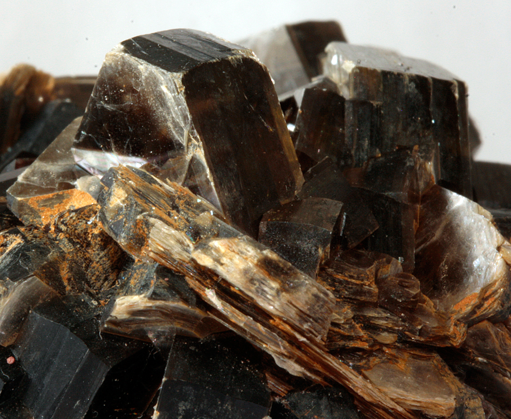 Muscovite