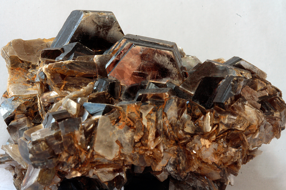 Muscovite
