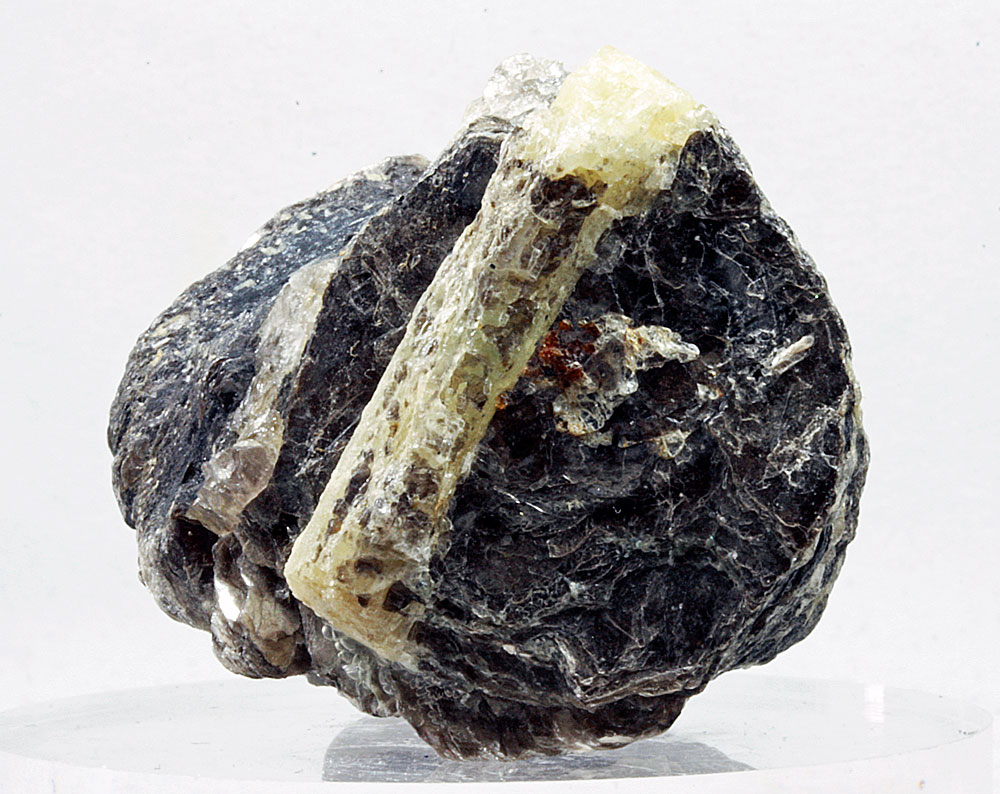 Beryl On Biotite Mica