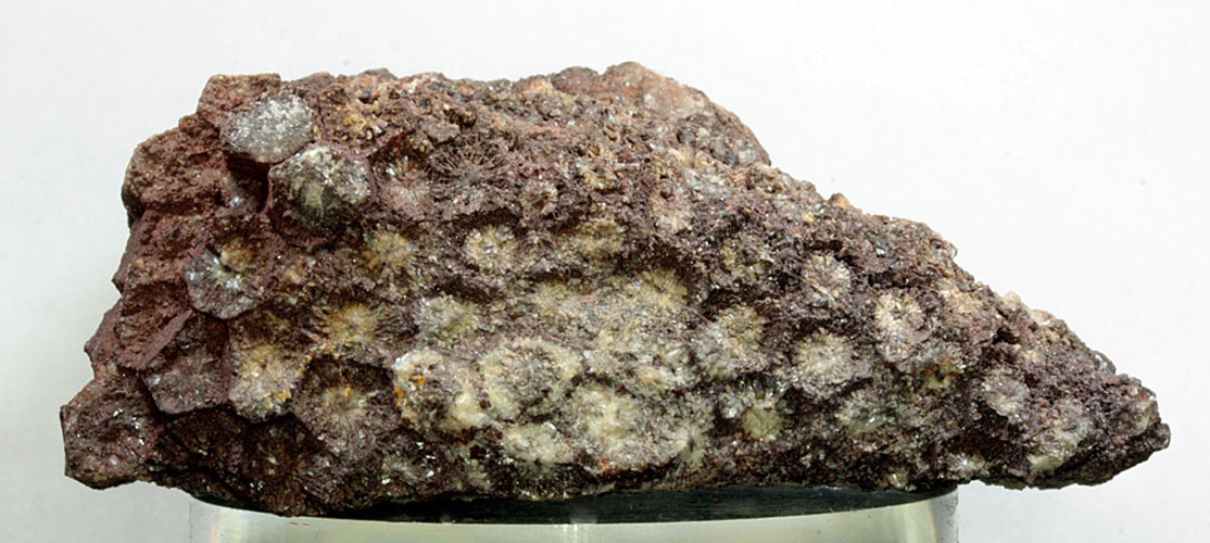 Hematite Psm Coral