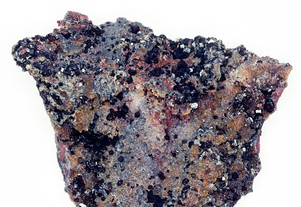 Fluorapatite Var Francolite