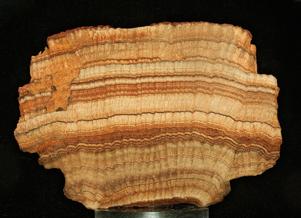 Calcareous Tufa