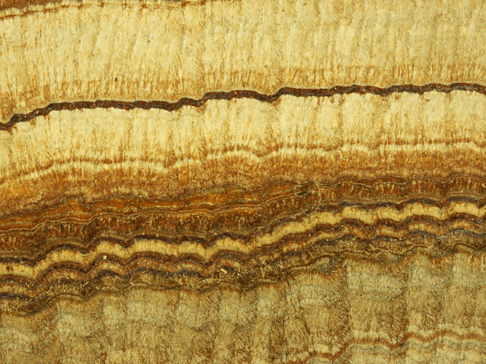Calcareous Tufa