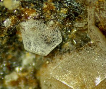 Caracolite Psm Glauberite With Jarosite