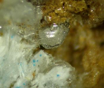 Challacolloite With Cotunnite & Uklonskovite