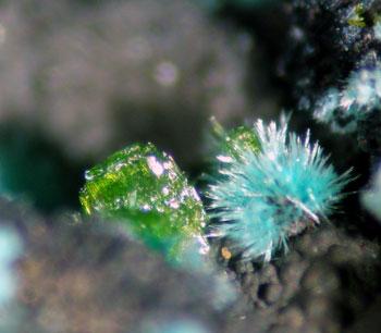 Molybdofornacite With Wulfenite & Malachite