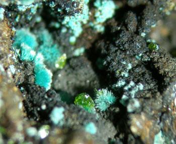 Molybdofornacite With Wulfenite & Malachite