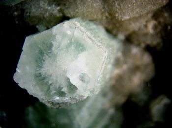 Aragonite