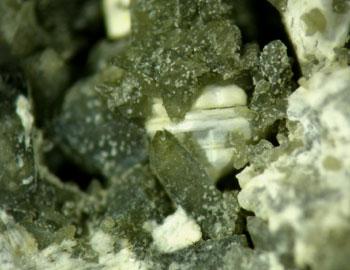 Liottite & Fassaite